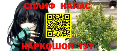 трава Краснодар