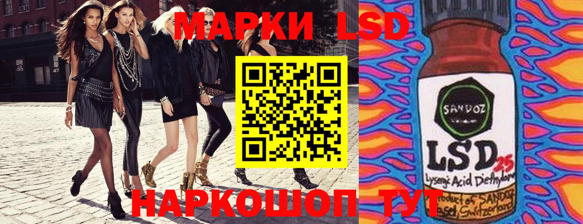 ГАШ Курчалой