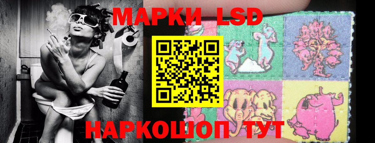 Наркотические марки  Марки 25I-NBOMe 1,8мг  Вход с VPN  Курчалой 