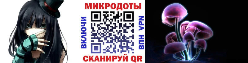 Псилоцибиновые грибы Psilocybe Курчалой